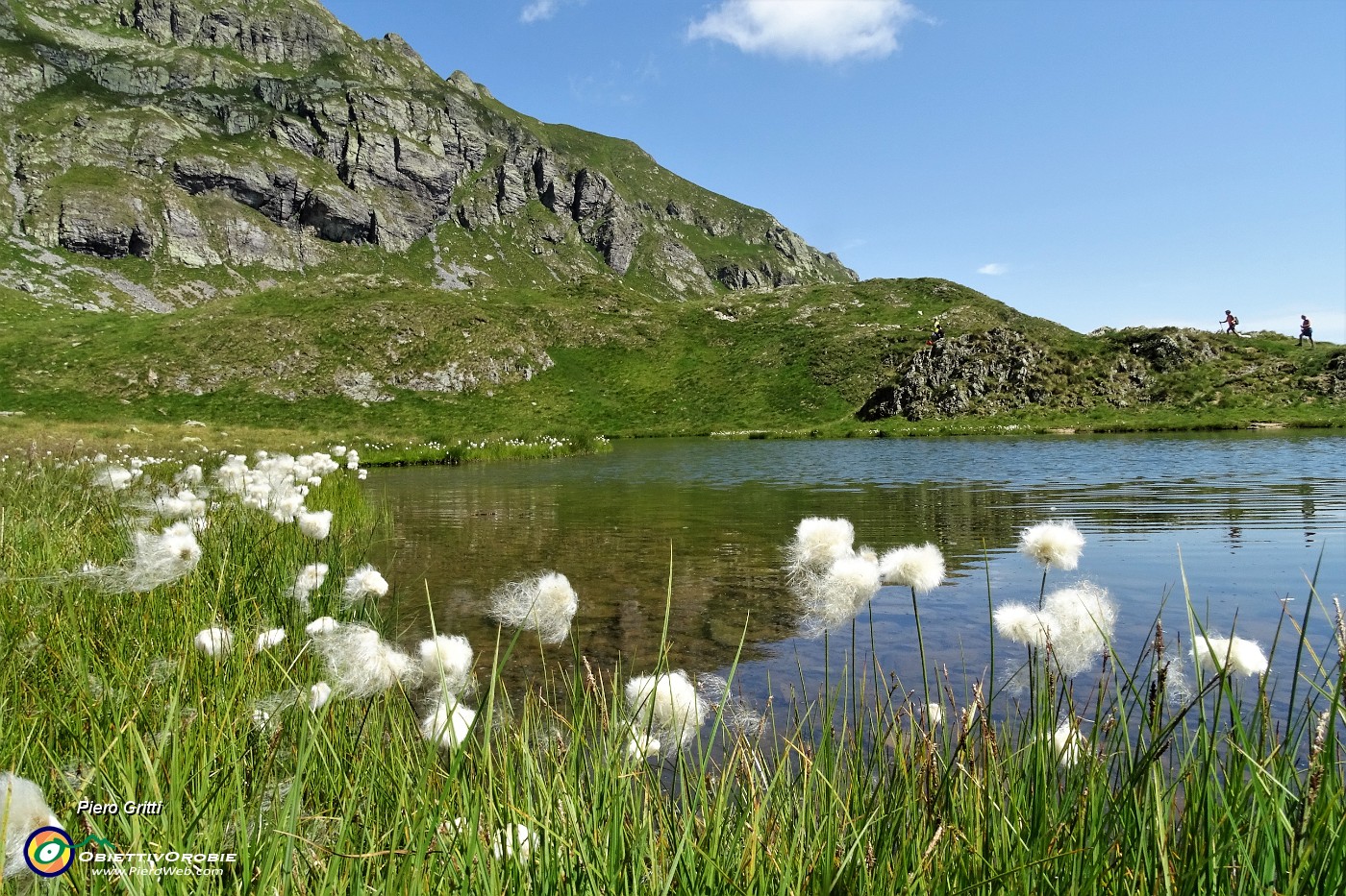 38 Bianchi eriofori al  Lago di Ponteranica inf..JPG